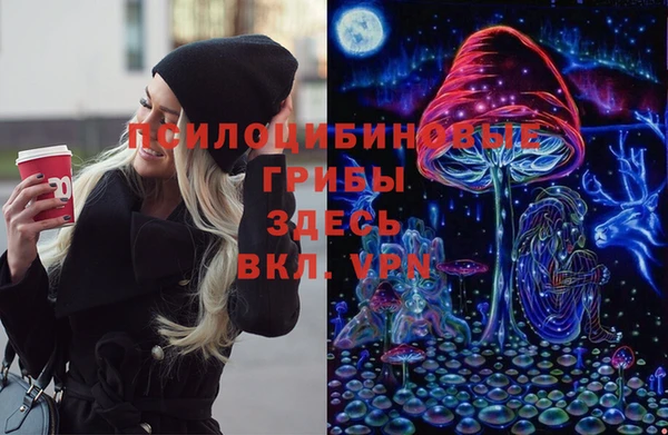 соль ск Бородино