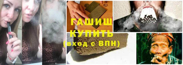 хмурый Белокуриха